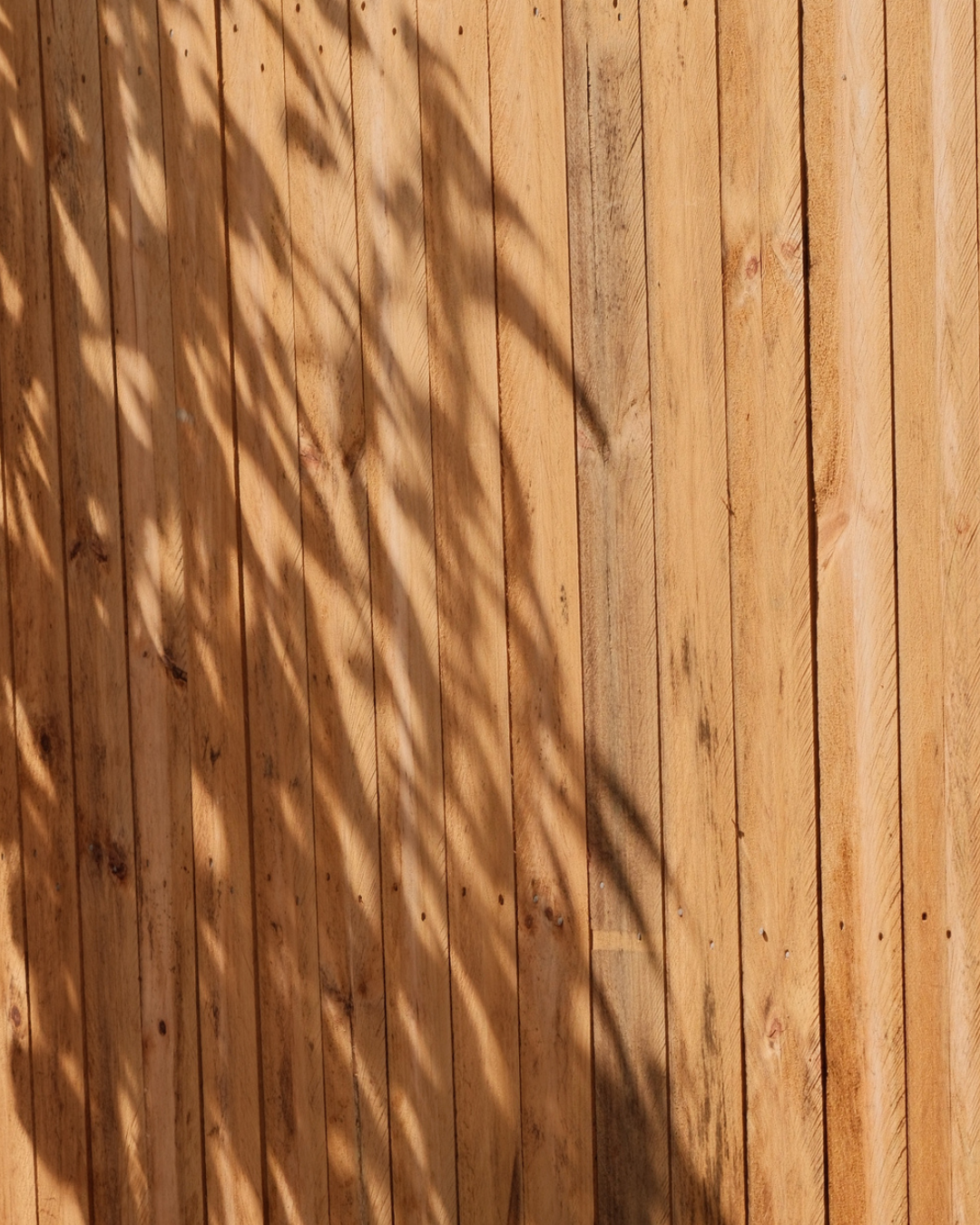 Commercial landscaping project Capalaba Brisbane QLD — MJ GreenGuard
