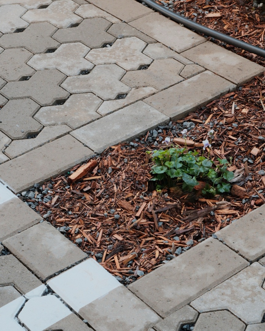 Commercial landscaping project Capalaba Brisbane QLD — MJ GreenGuard