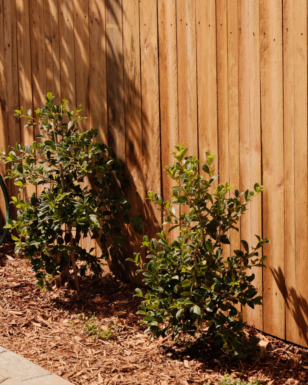 Commercial landscaping project Capalaba Brisbane QLD — MJ GreenGuard