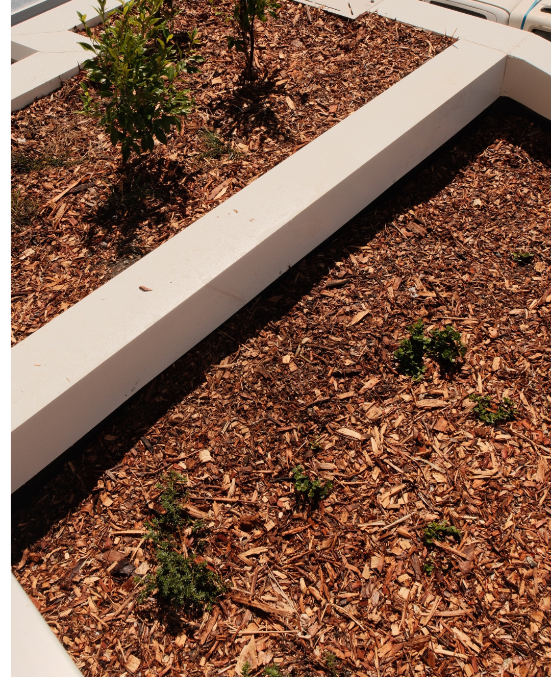 Commercial landscaping project Capalaba Brisbane QLD — MJ GreenGuard